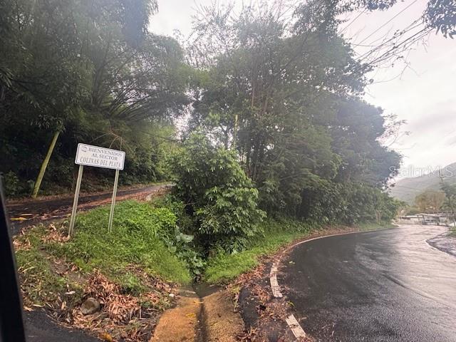 816 Bo Nuevo, PR