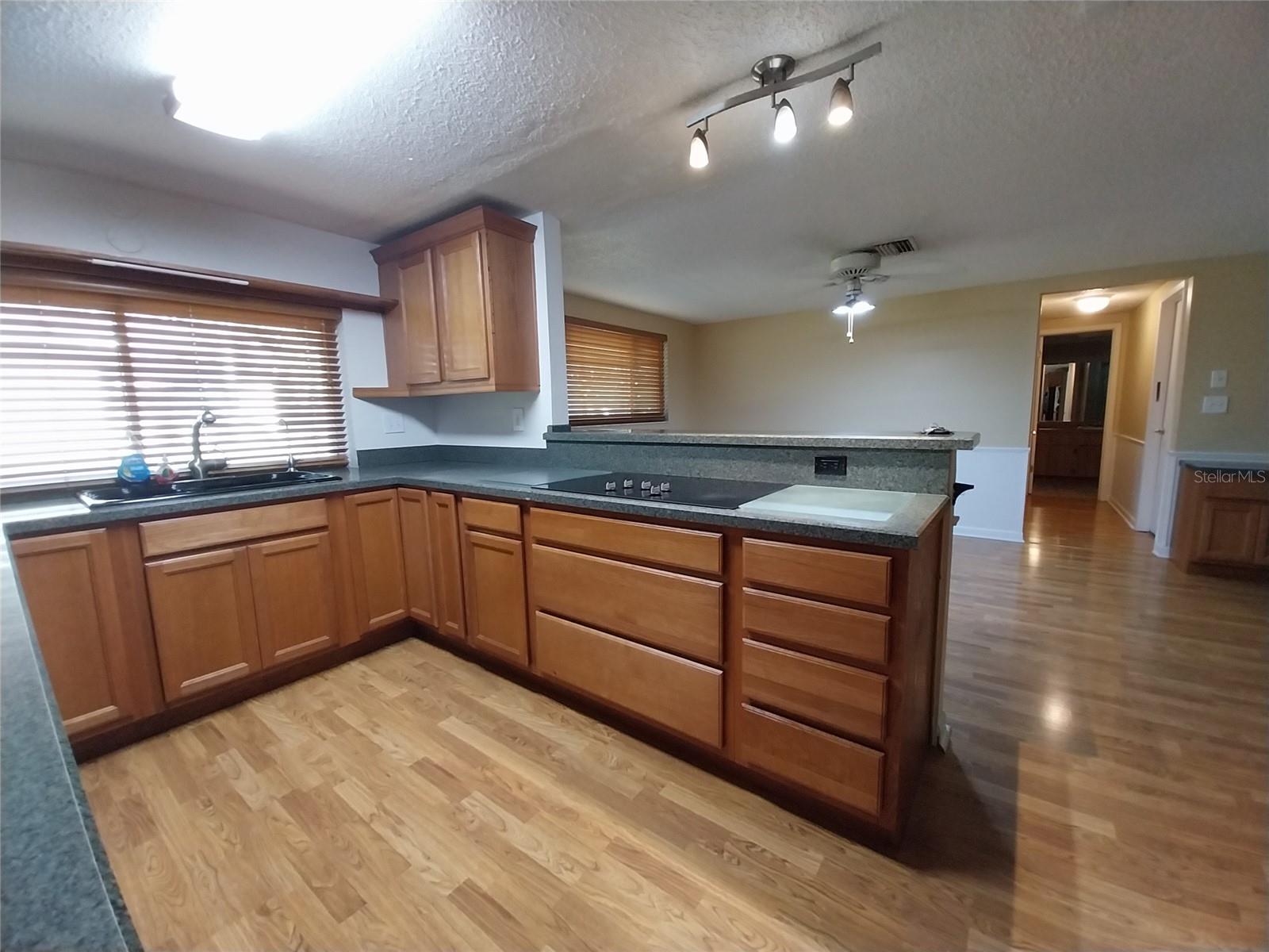 8313 Cavalry Drive, FL