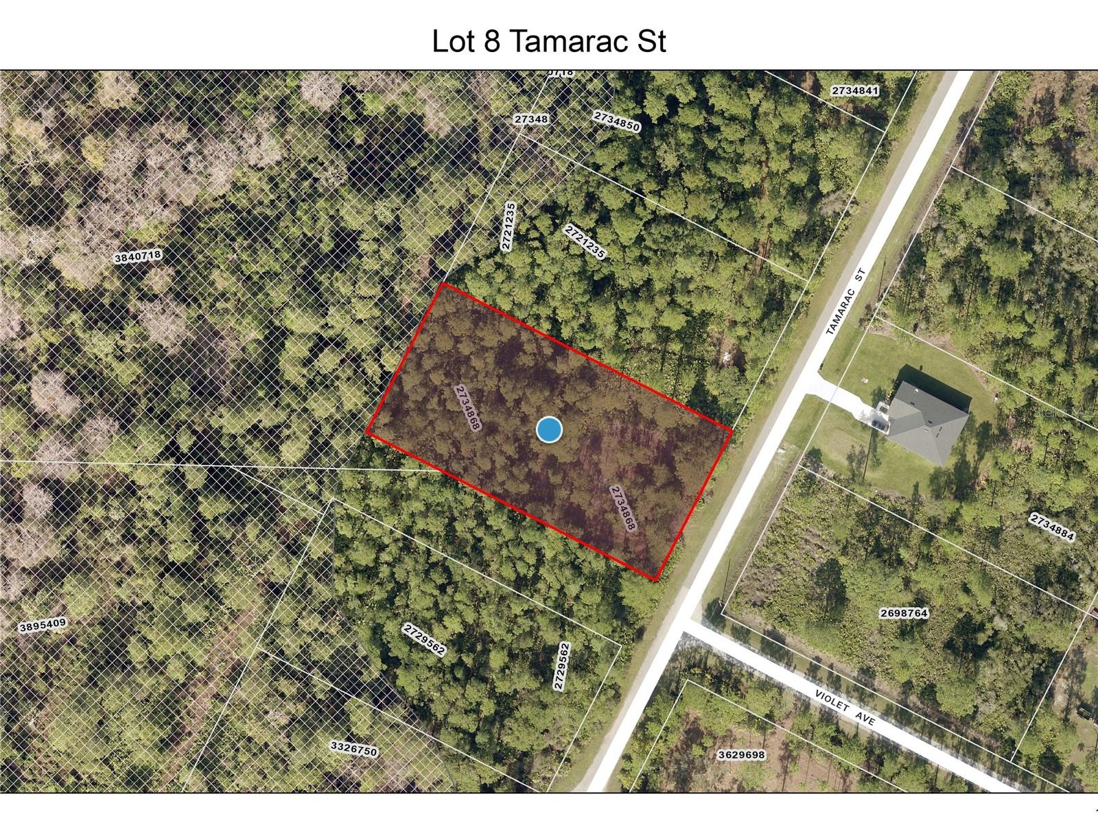 Lot 8 Tamarac St, FL