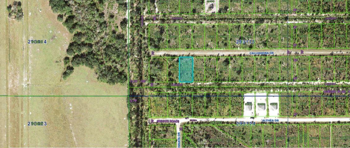Calliandra Drive, FL