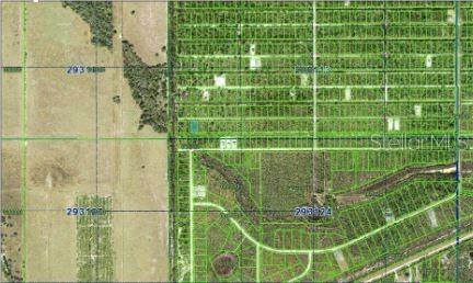 Calliandra Drive, FL