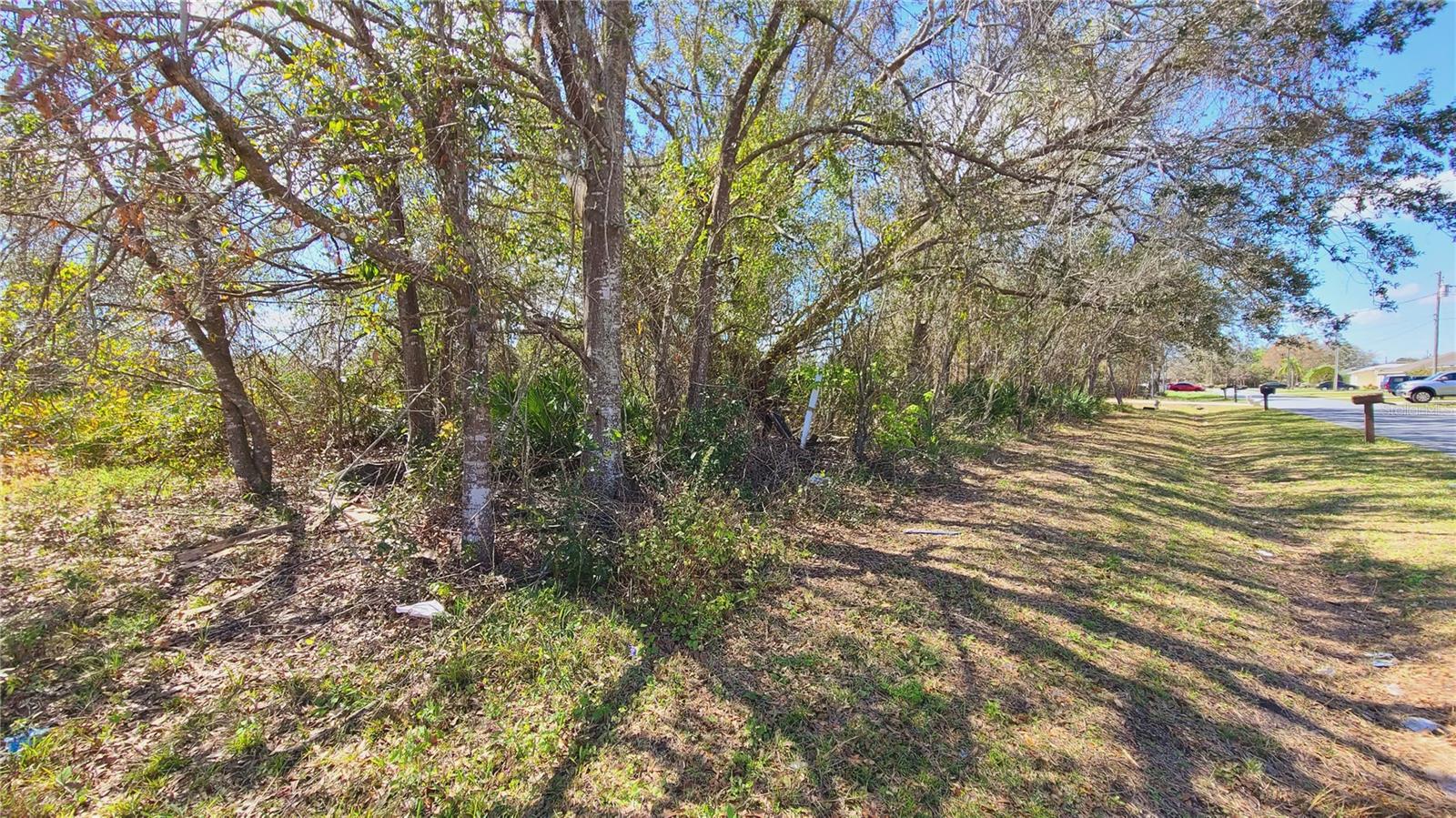 716 Martin Ln, FL