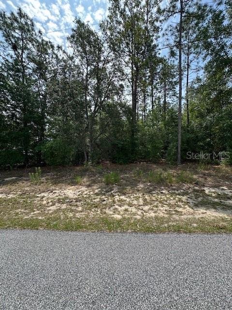 920 W Rum Pl, FL