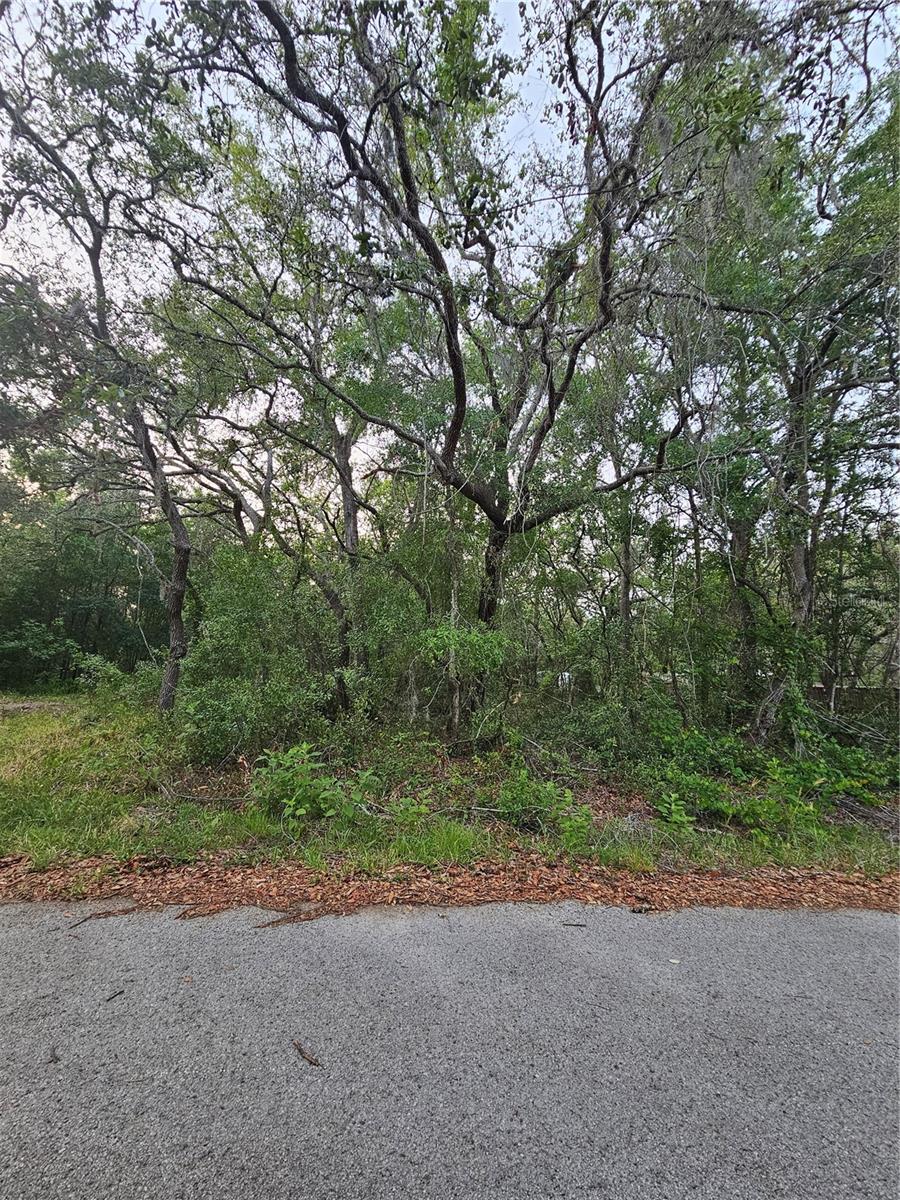 00 Doaks St, FL