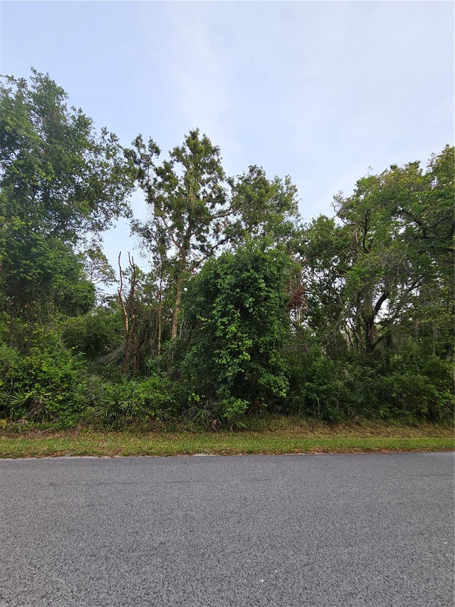 00 Gurnee Ave, FL