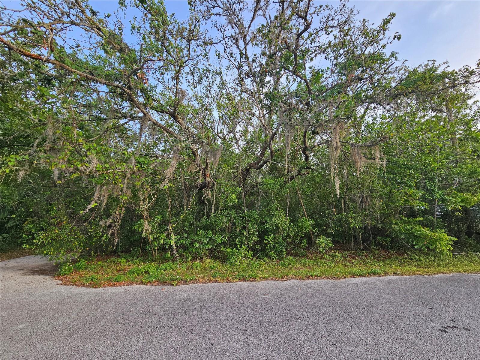 00 Valimar Rd, FL