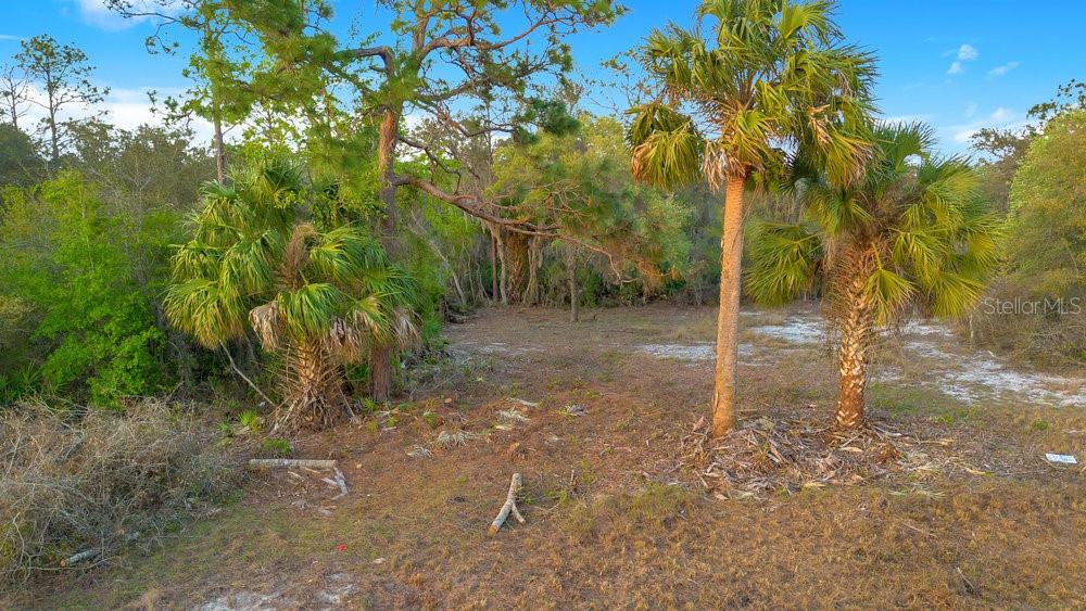 1411 Sarasota Court, FL