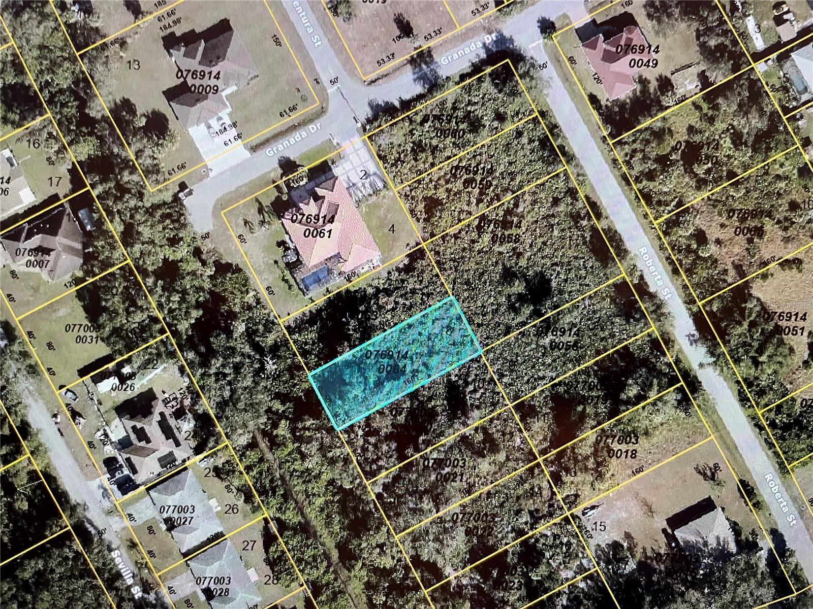 Lot 8 Dolores St, FL