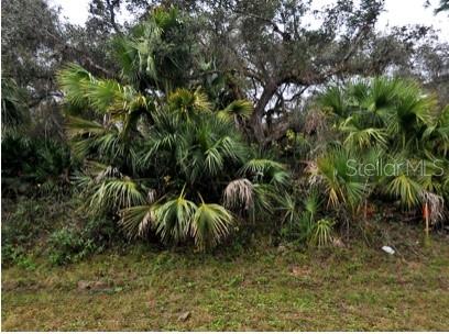 Babroff Ter, FL