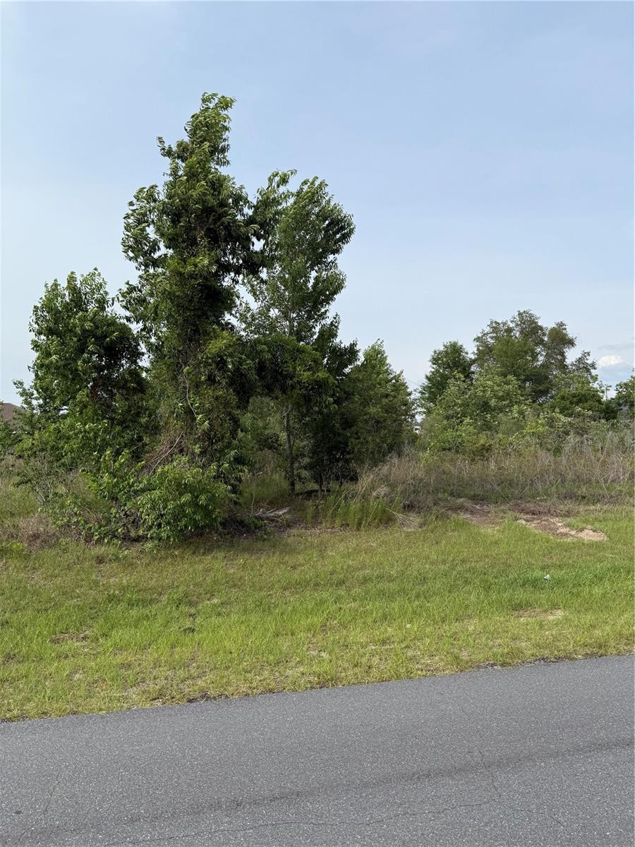 Tbd Sw 129th Lane, FL