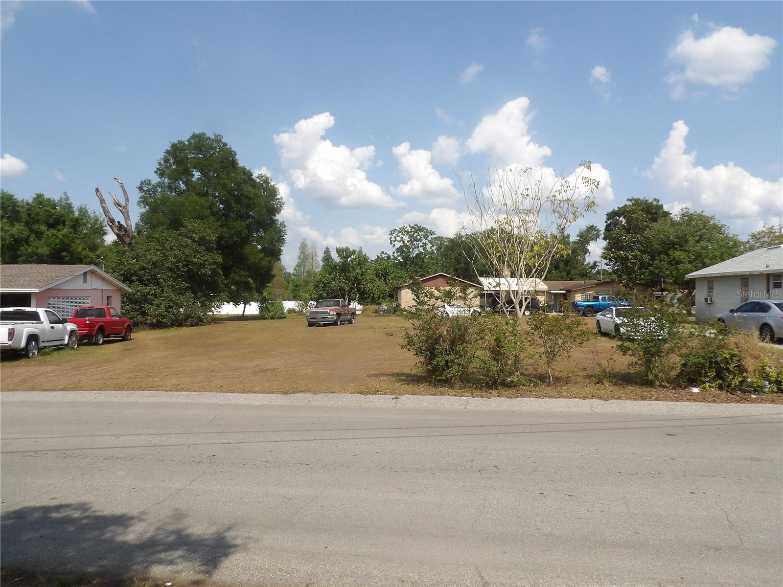 Maple Avenue, FL