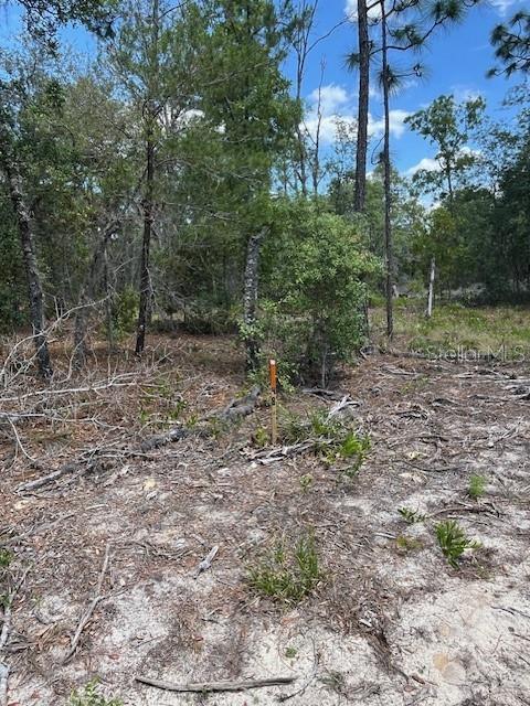 Tbd Sw 57th Ave #48 & 49, FL