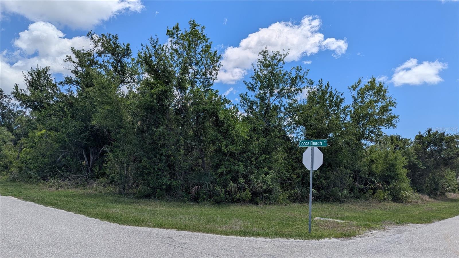 10017 Cocoa Beach Street, FL