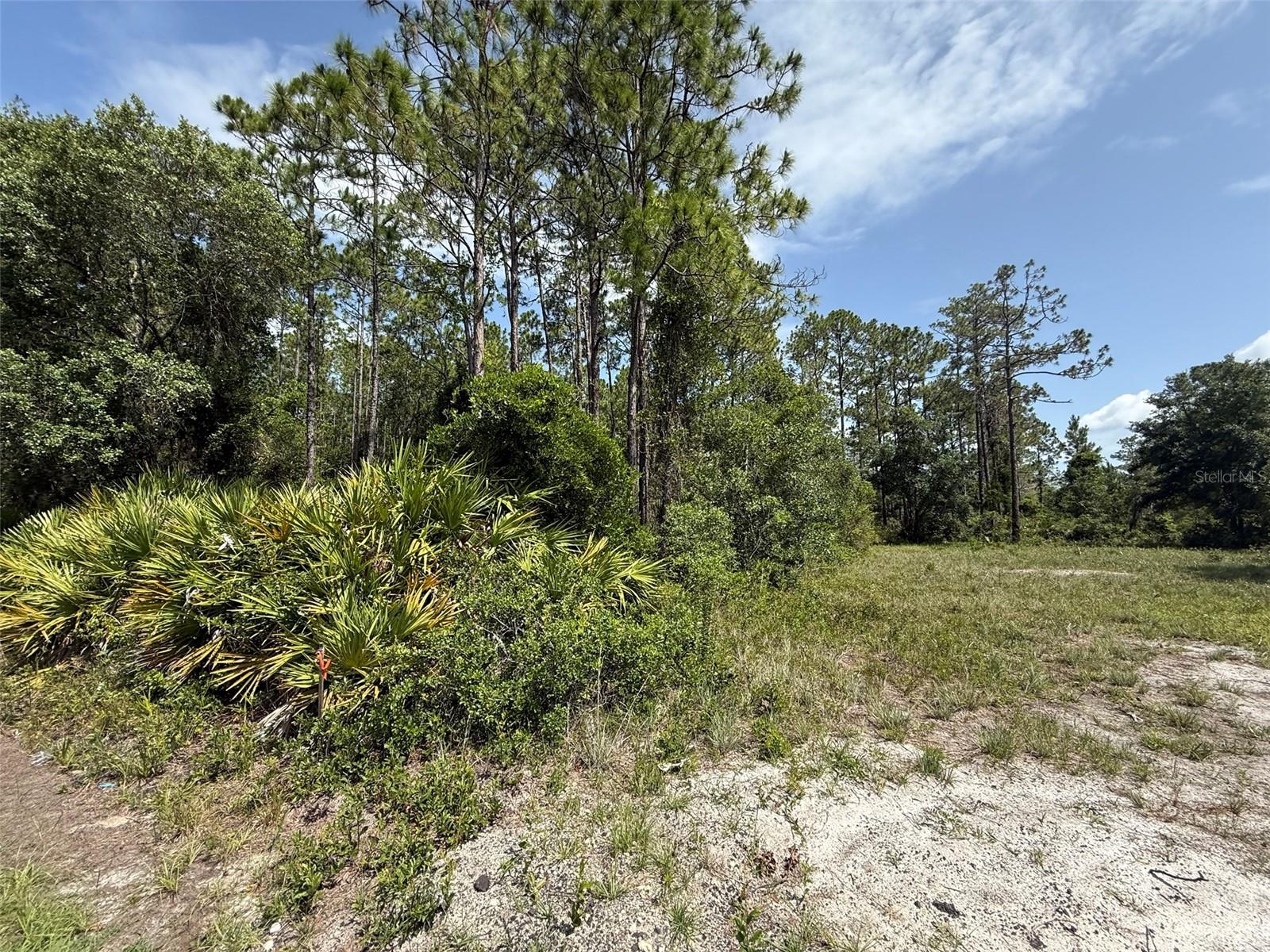 174 Millican Rd, FL