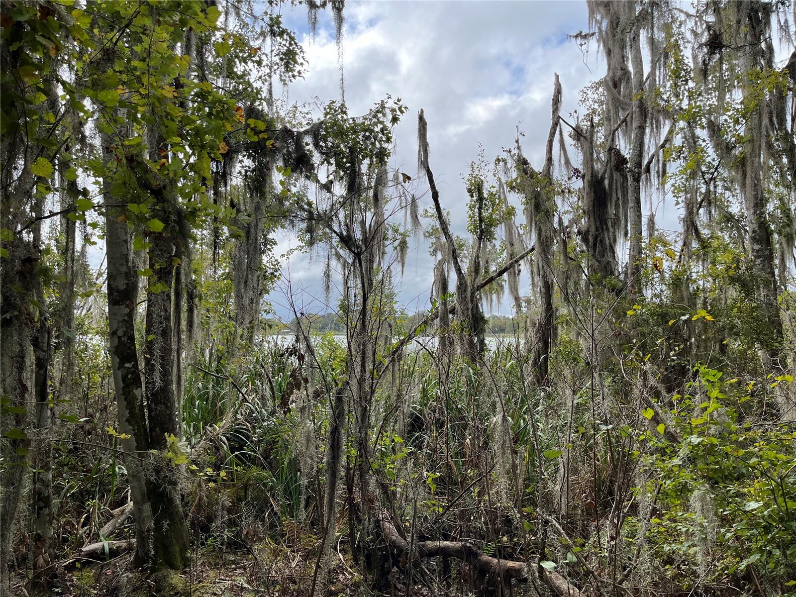 000 Se Hawthorne Rd, FL