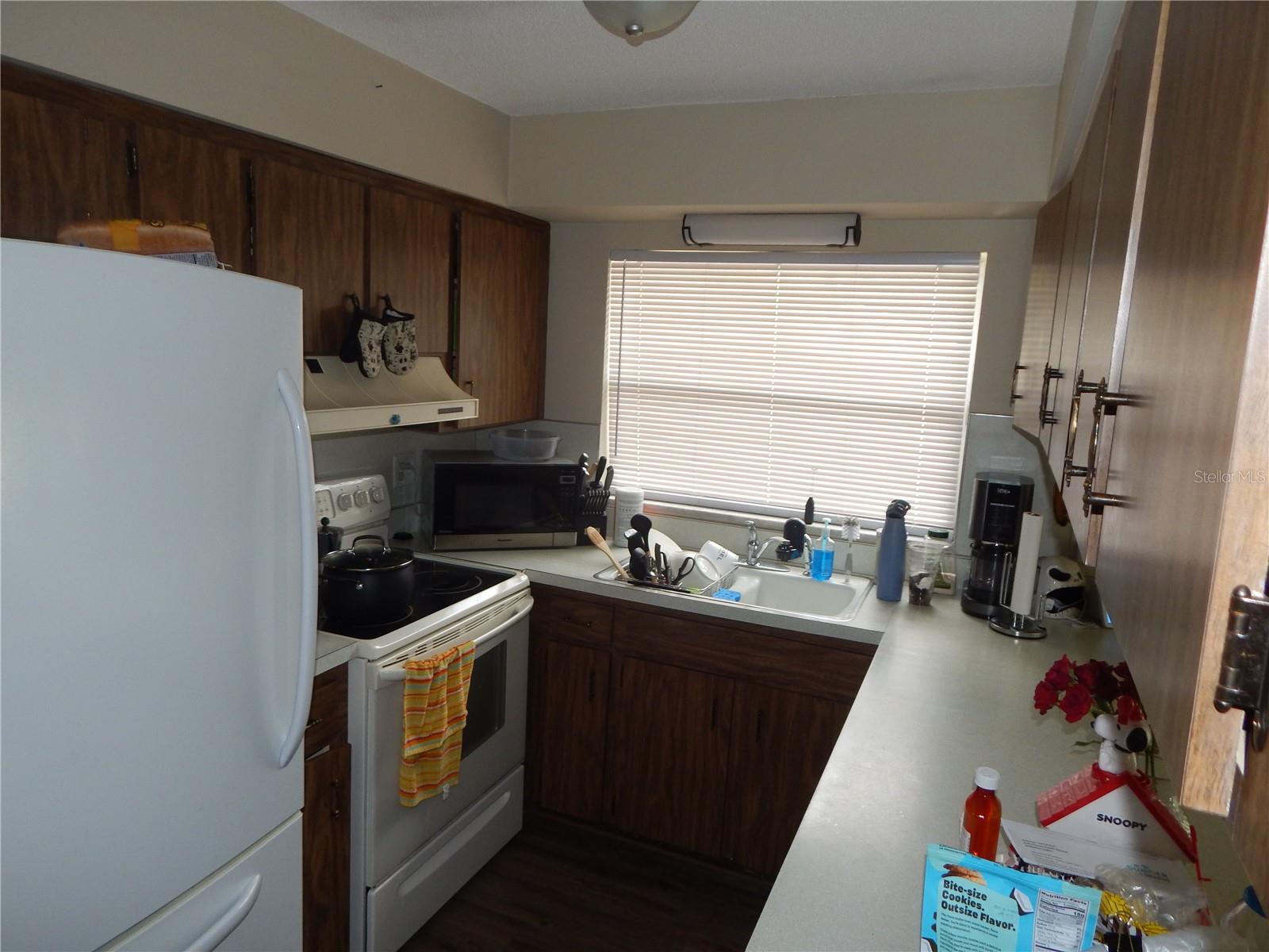3509 Lisa Lane, FL