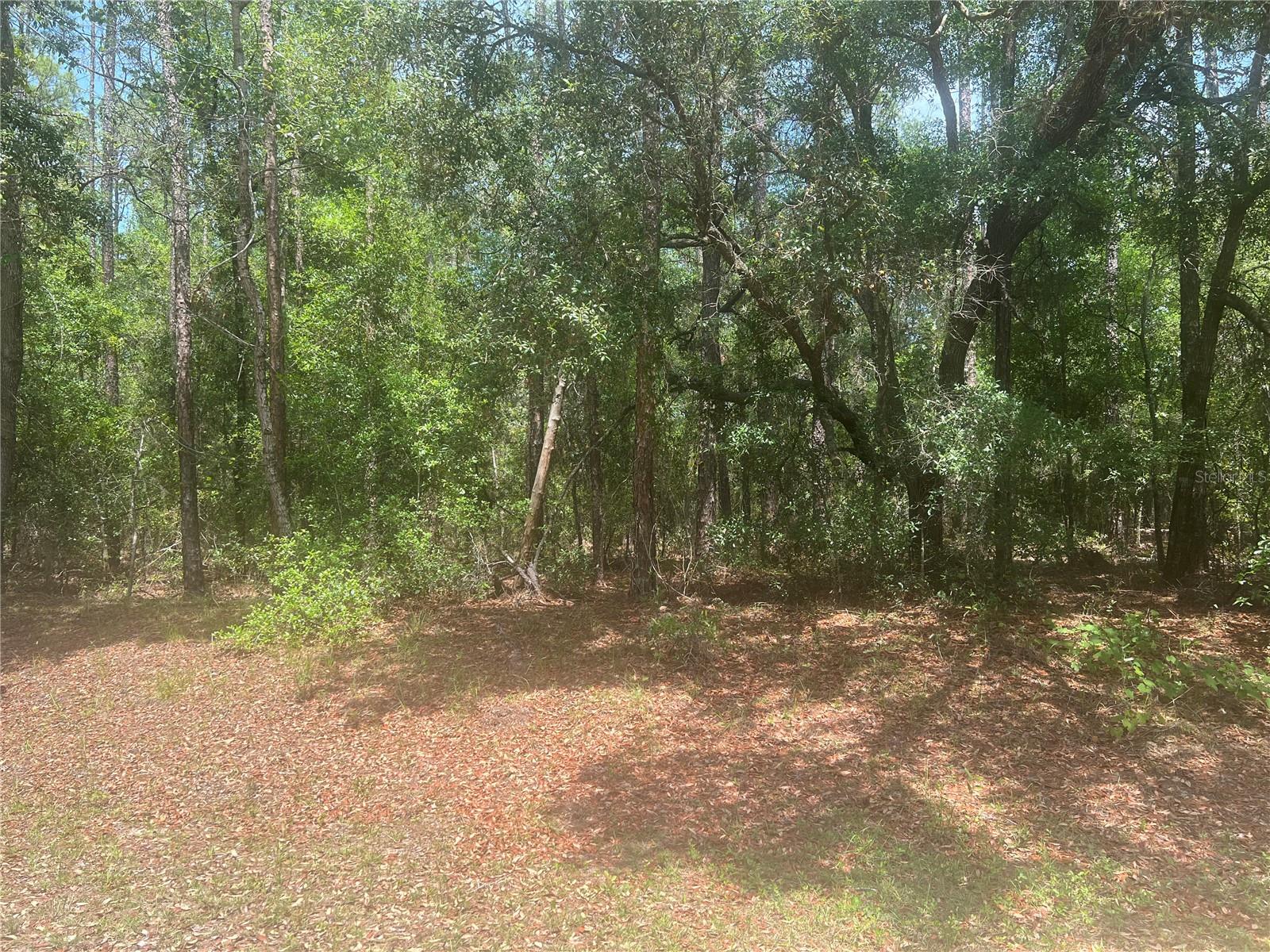 8729 N Wallingford Ave, FL
