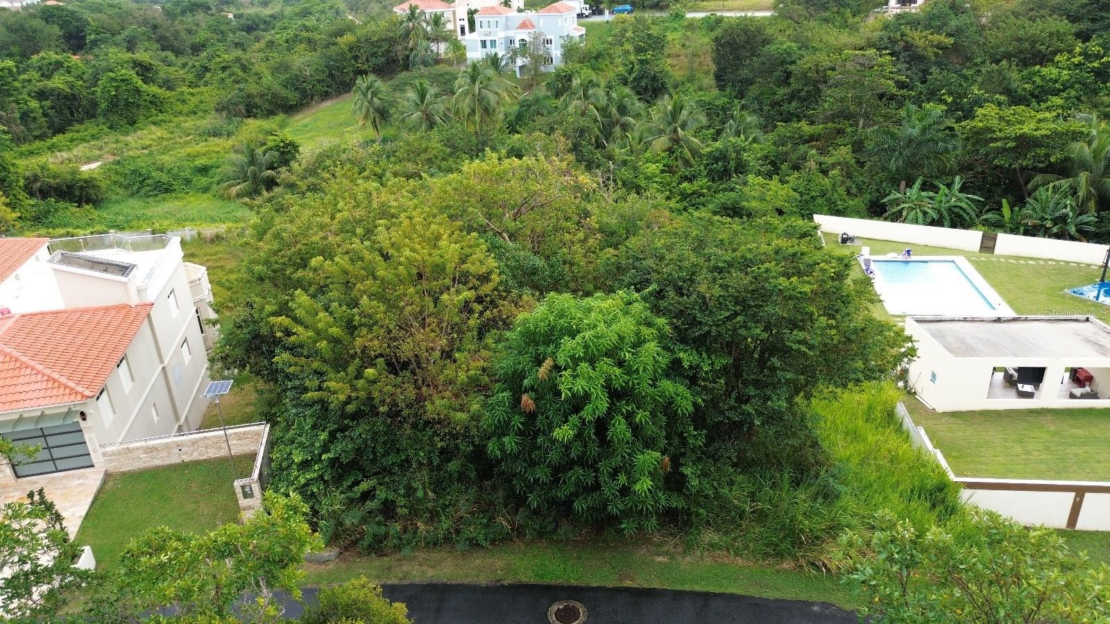 39 Cocoloba #39, PR