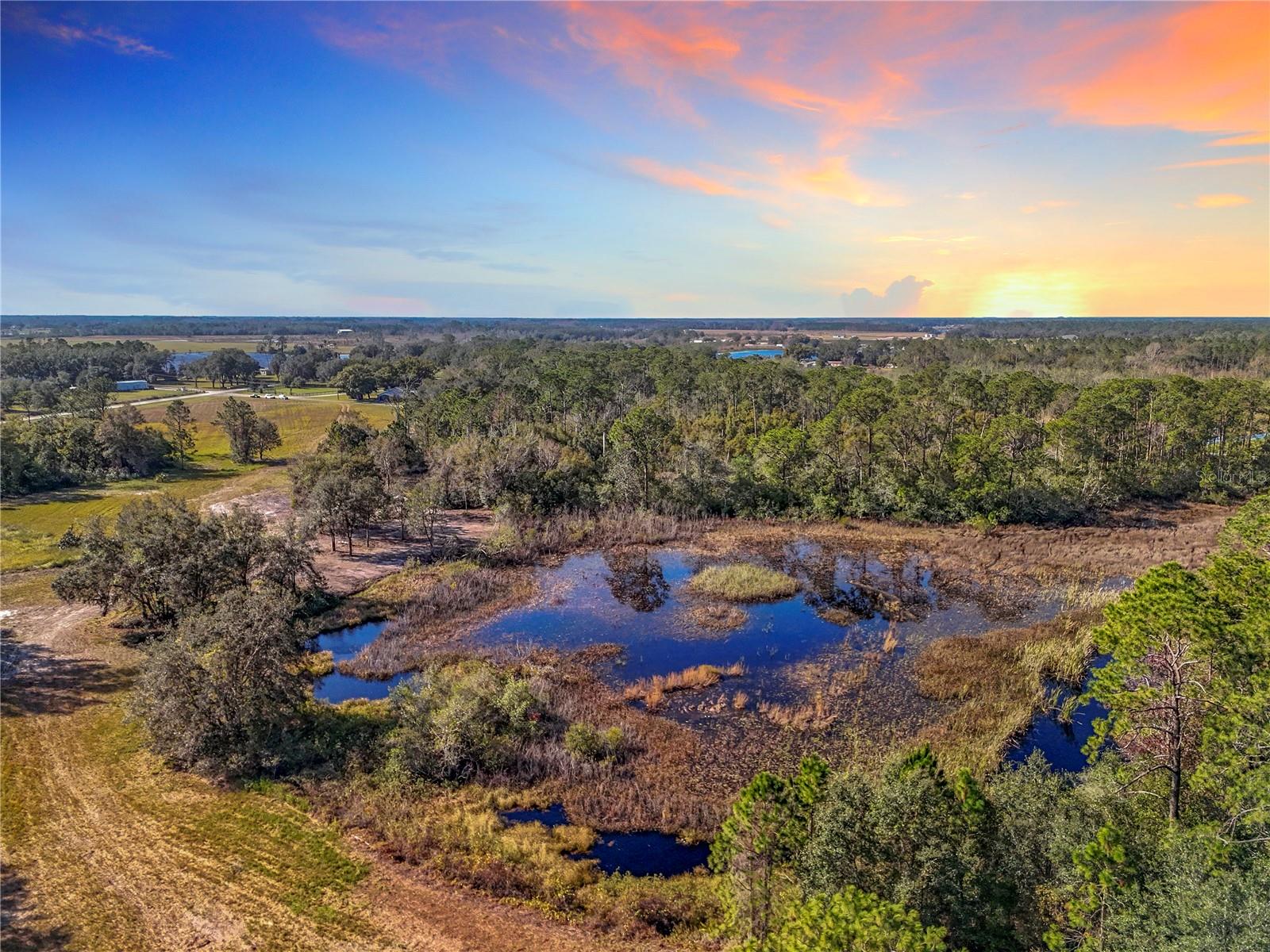 Pine Island Road, FL