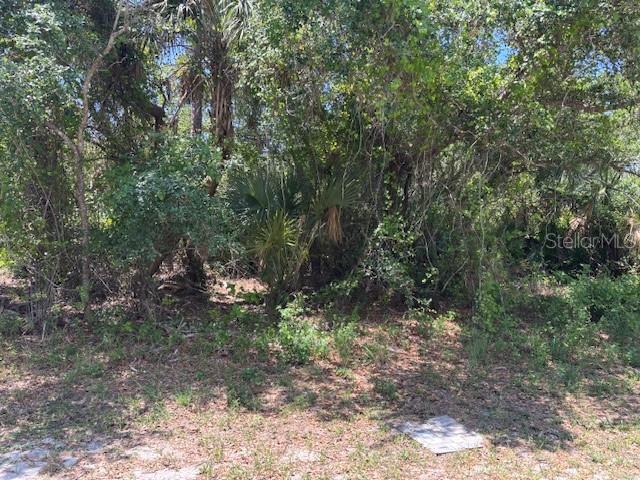 18431 Fremont Ave, FL