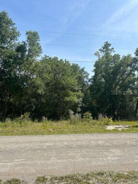 8284 W Catrina Ln, FL