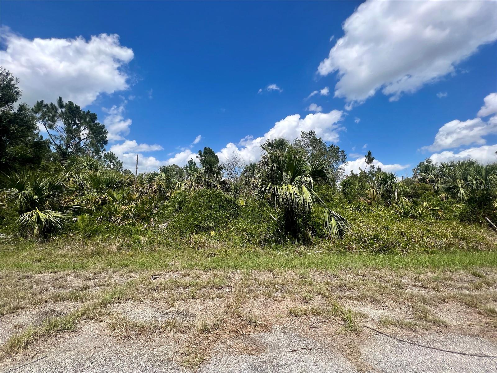 Chinabox St, FL