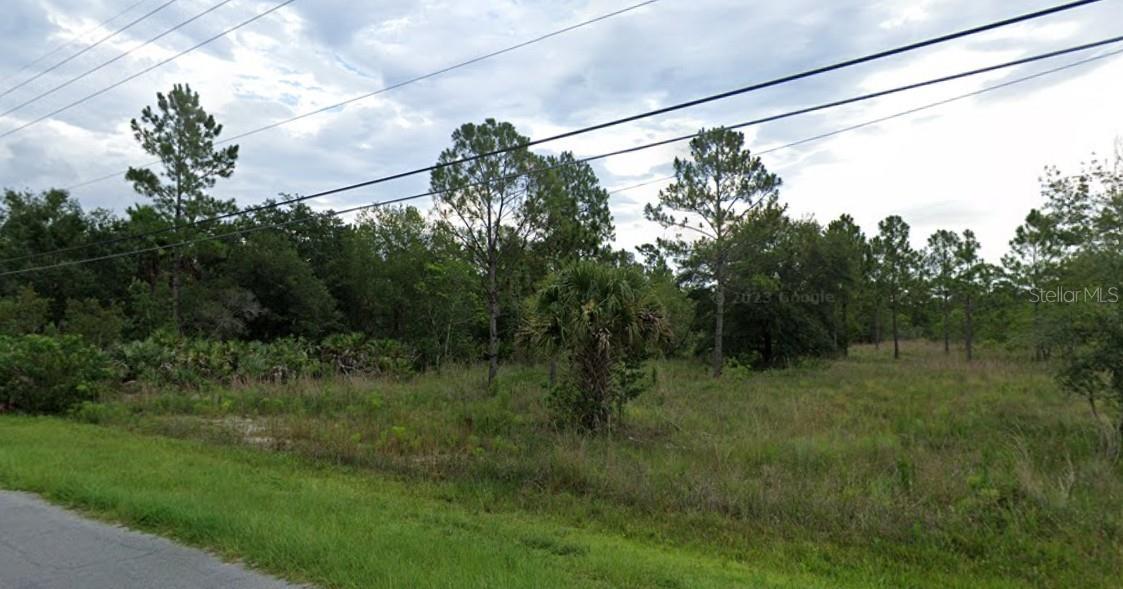 Caesar Ave, FL