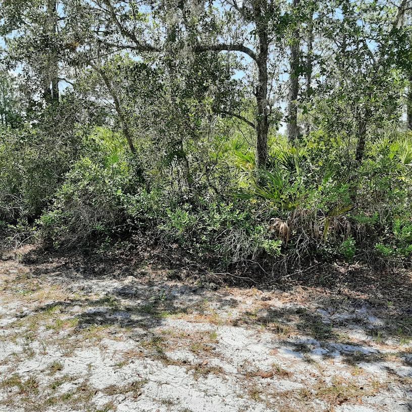 211 Camellia Dr, FL