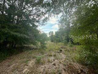 Nw 56th Court, FL
