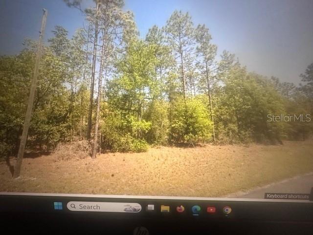 0 Sw 207 Ct, FL