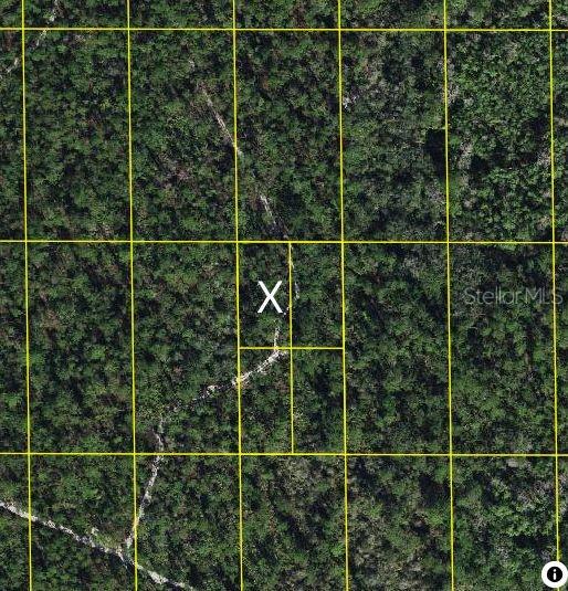 Sr-60, FL