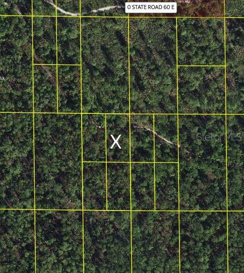 Sr-60, FL