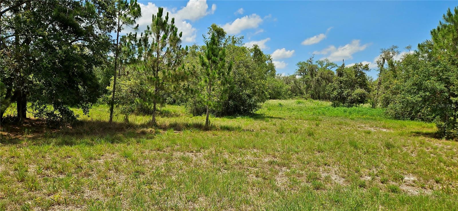 Mammoth Grove Road, FL
