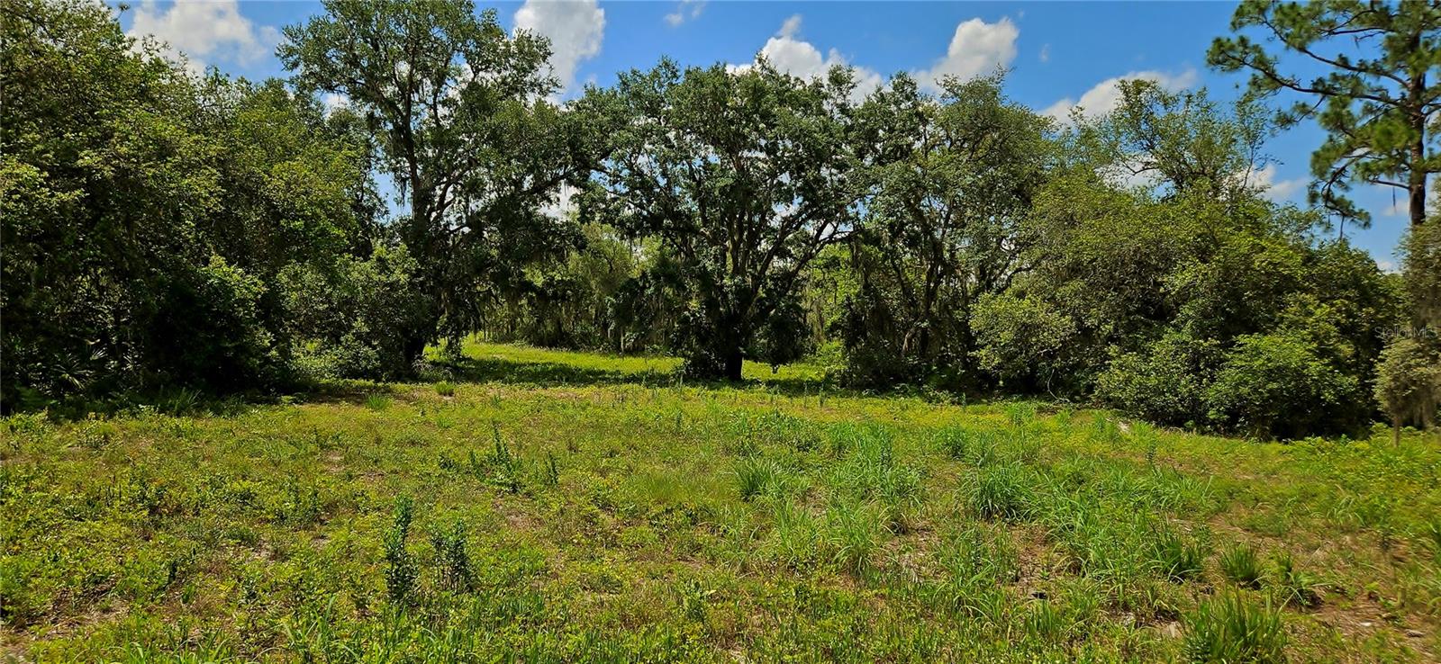 Mammoth Grove Road, FL