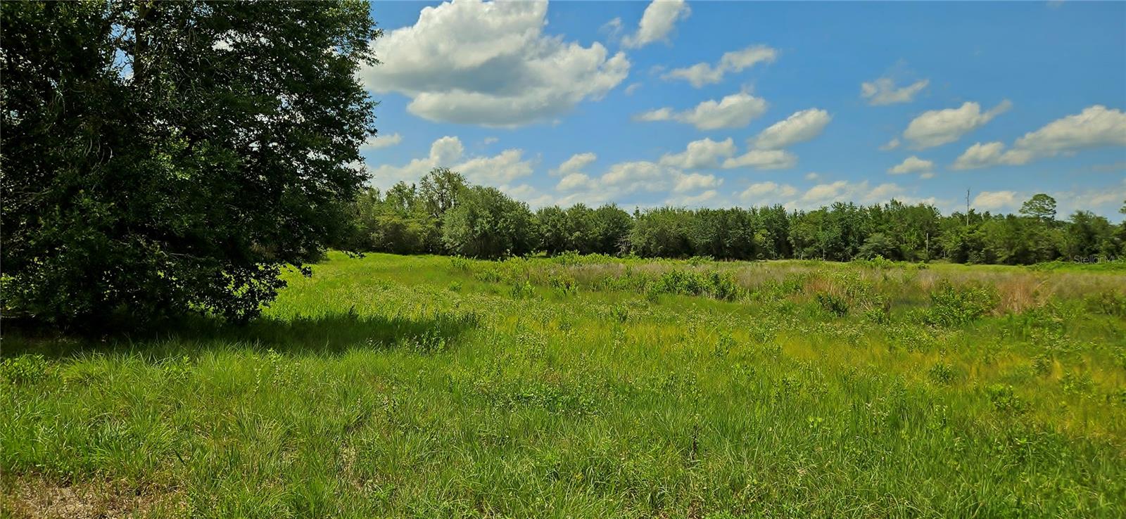 Mammoth Grove Road, FL