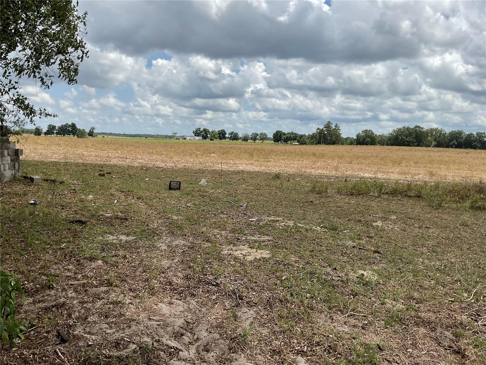 Ne 46th Ln, FL