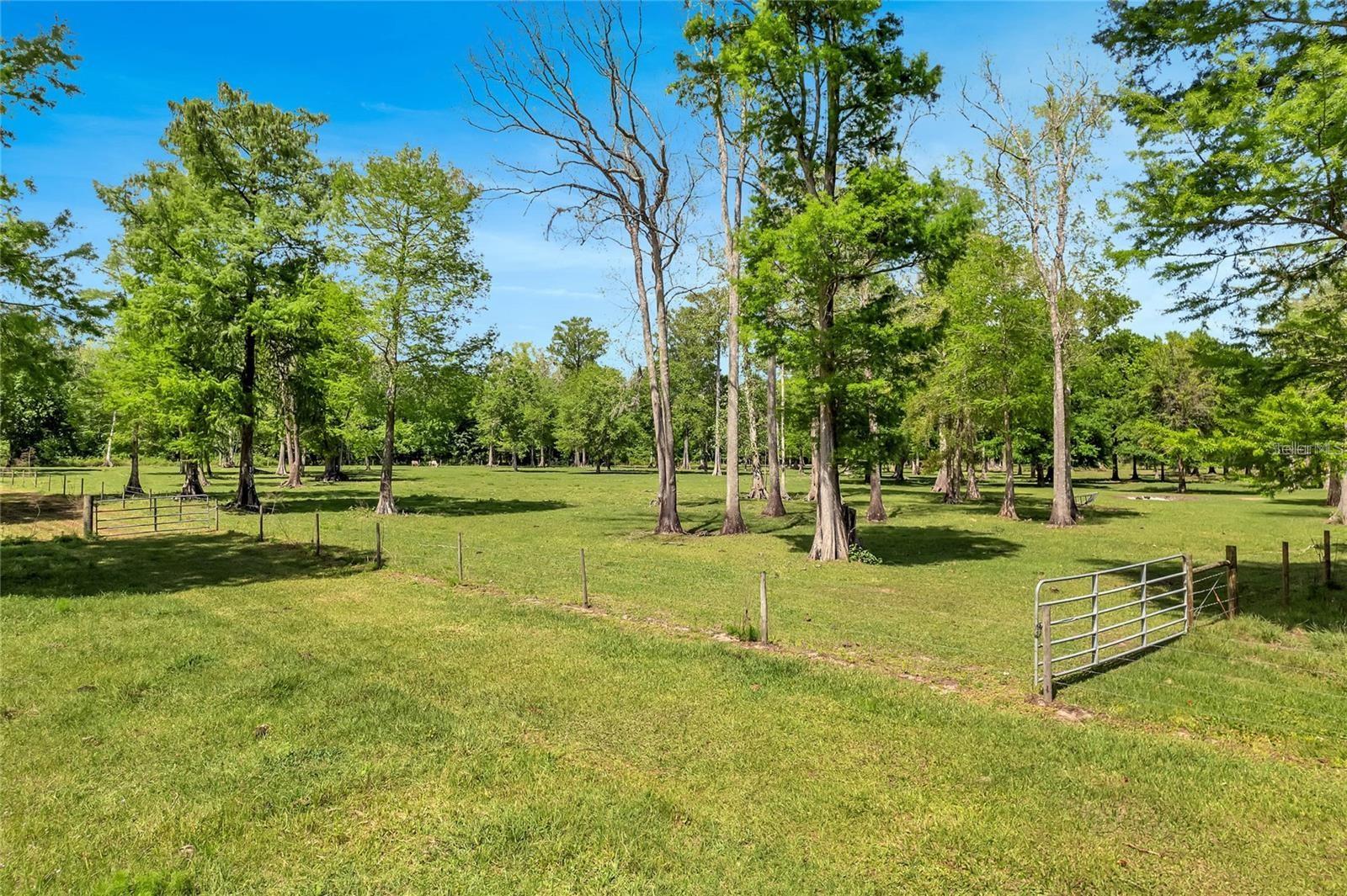 Tbd Corkwood Ln, FL