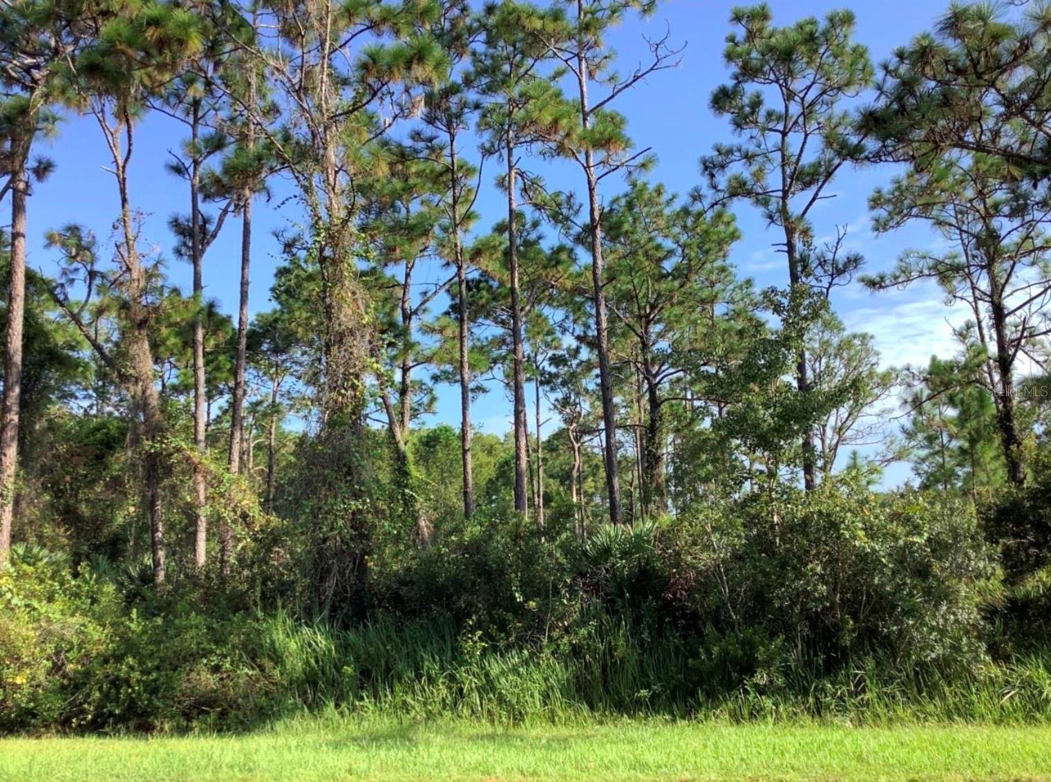 Quinella St, FL