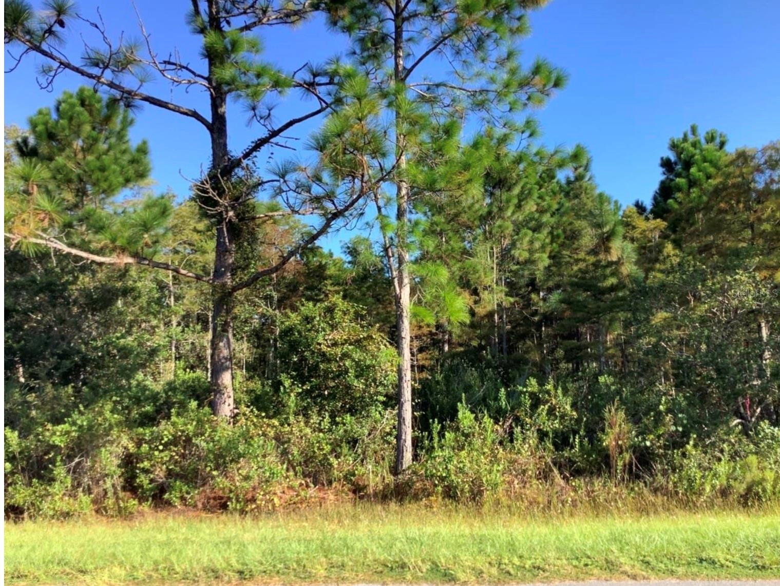 Ralston St, FL