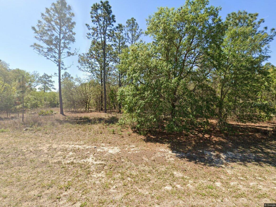 1816 W Hampshire Blvd, FL