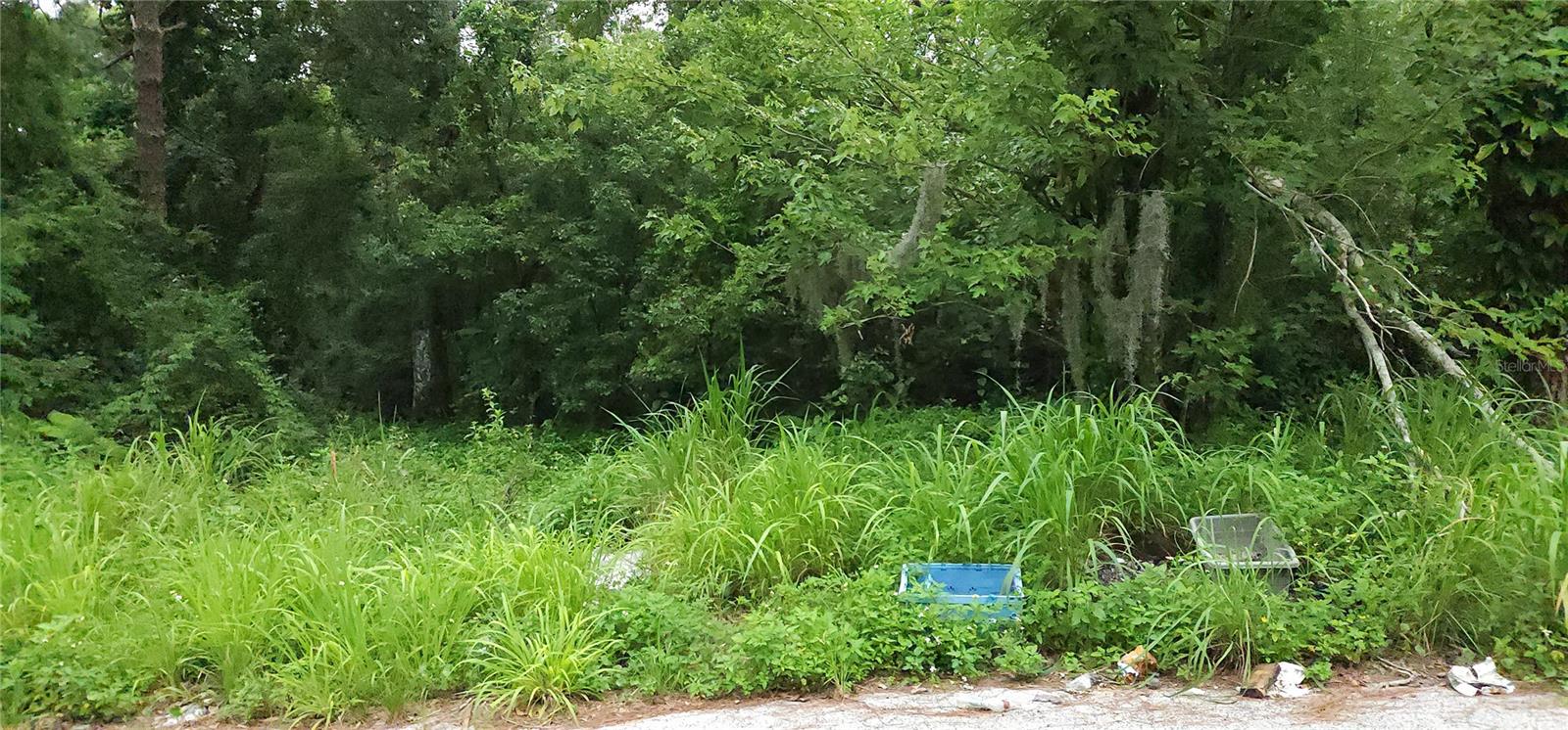 Park Ave, FL