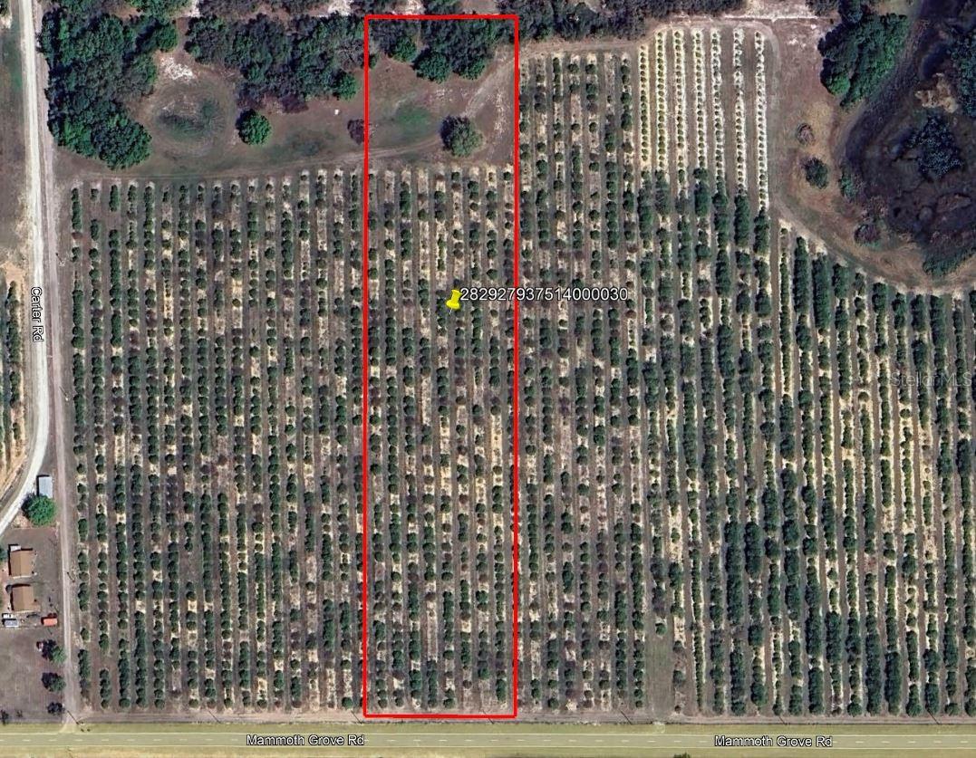 Mammoth Grove Road, FL