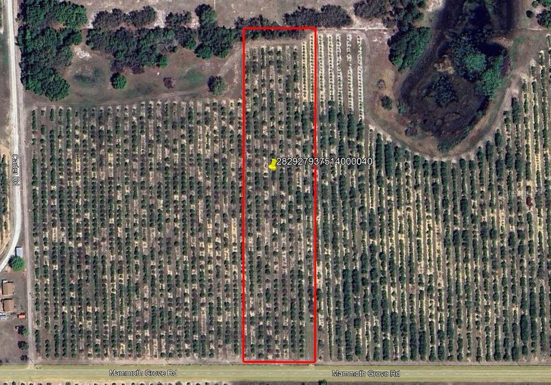 Mammoth Grove Road, FL