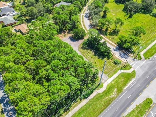 3493 S Ridgewood Ave, FL