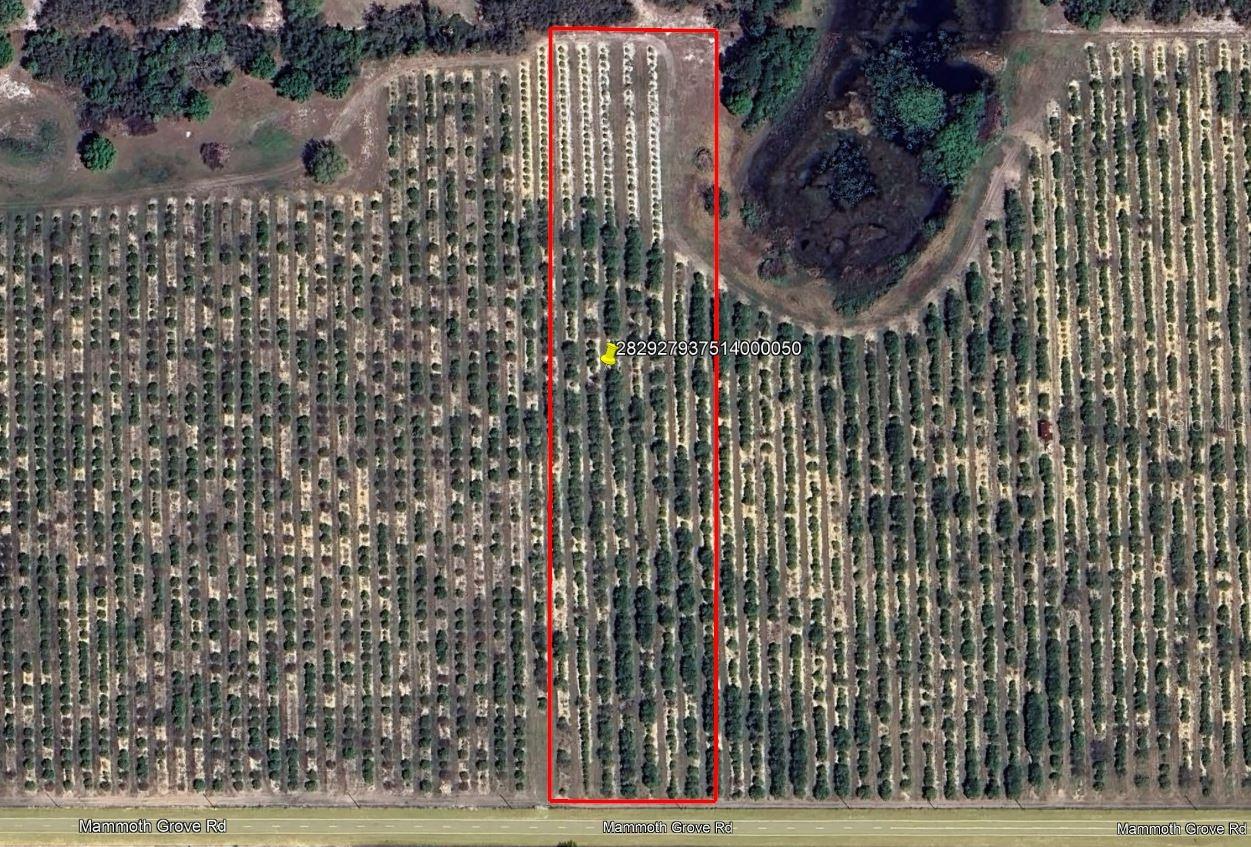 Mammoth Grove Road, FL
