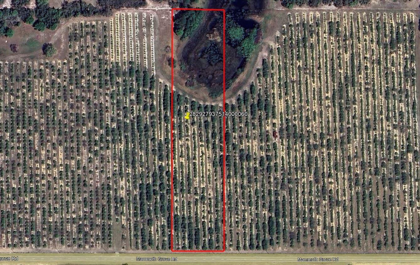 Mammoth Grove Road, FL