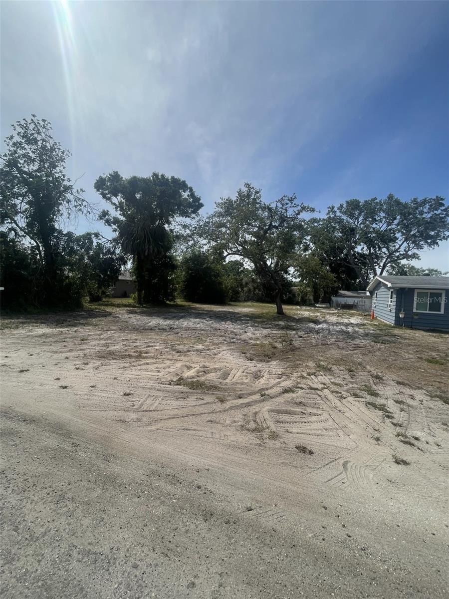 Jungle Way, FL