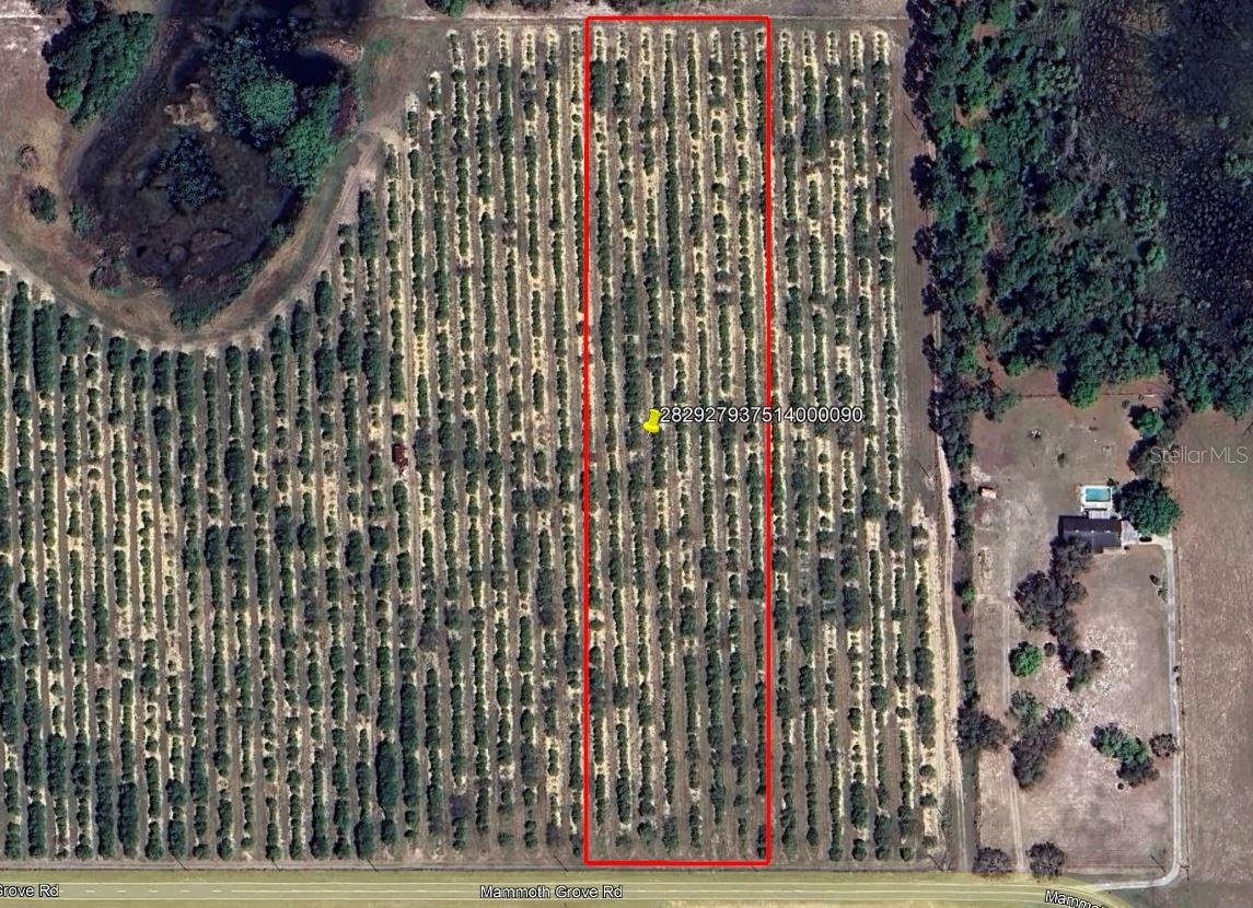 Mammoth Grove Road, FL