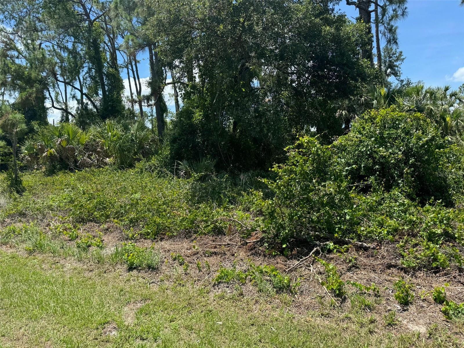 Sw 135th Street Road #20, FL