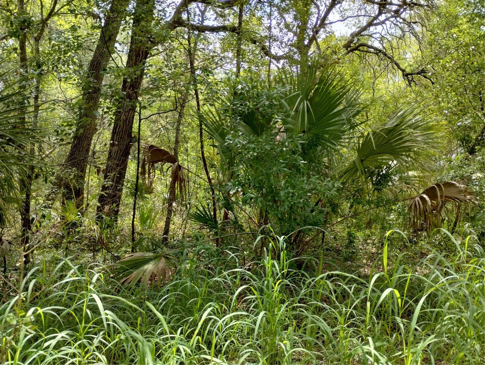 Dogwood Way, FL